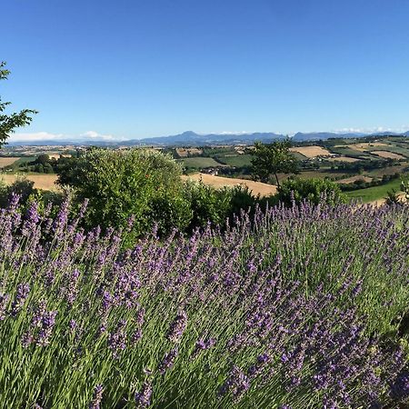 Solea Relais Di Charme- Adults Only Guest House Trecastelli Bagian luar foto
