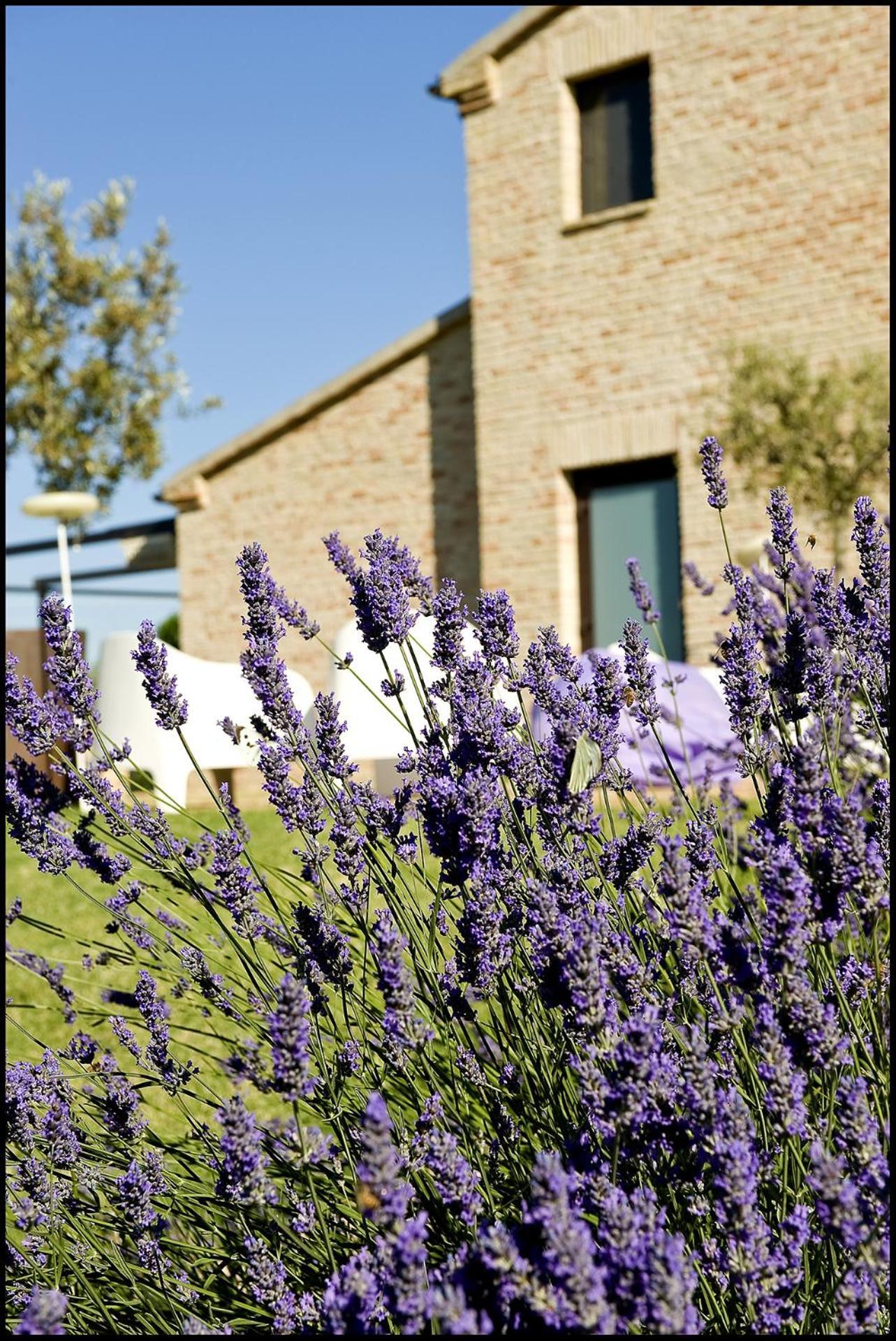 Solea Relais Di Charme- Adults Only Guest House Trecastelli Bagian luar foto